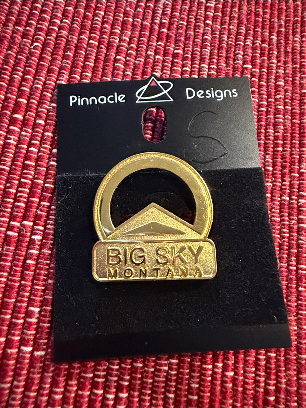 Big Sky Montana Gold Tone Souvenir Pin